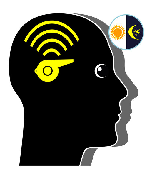 Звон в ушах в течение дня и ночи
