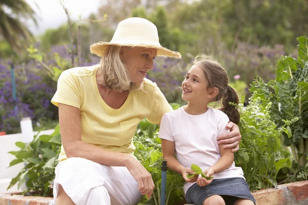 Grand-mère et petite-fille travaillant dans le jardin — Photo