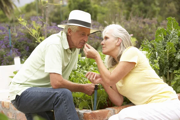 Casal sênior trabalhando no jardim vegetal — Fotografia de Stock