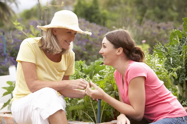 Mère et fille aînée travaillant dans le jardin — Photo