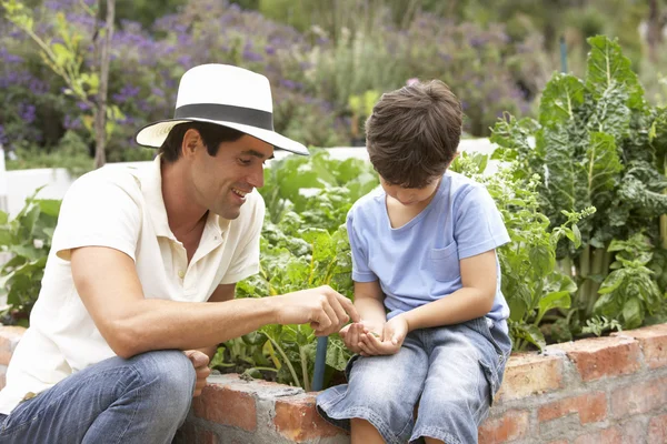 Mutter und Sohn arbeiten im Garten — Stockfoto