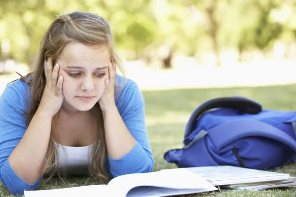 Estudiante acostado en el parque leyendo libro de texto —  Fotos de Stock