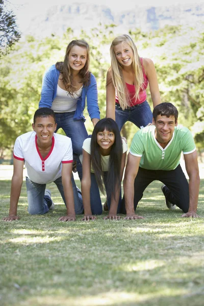 Vriendengroep die plezier hebben in het park — Stockfoto