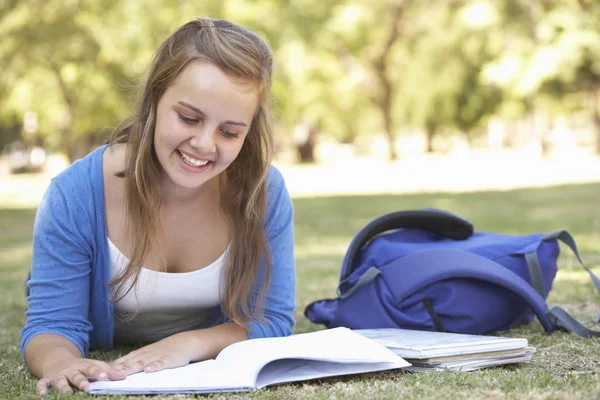 Estudante deitado no parque leitura de livro didático — Fotografia de Stock