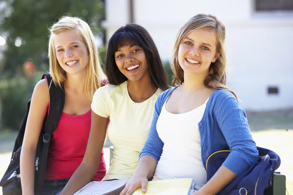 Group Of Teenage Students Stock Image