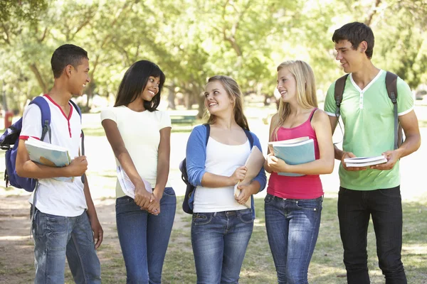 Group of friends standing in park — Stock Photo, Image