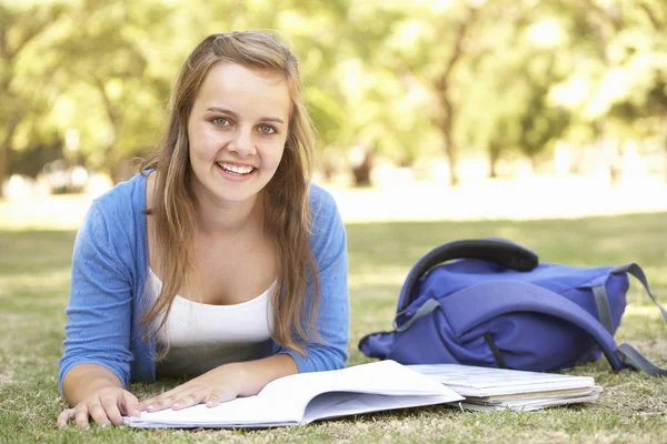 Adolescente chica estudiando en parque Imagen de stock