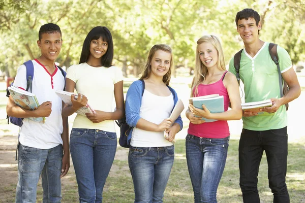 Group Of Students Standing In Park Stock Photo