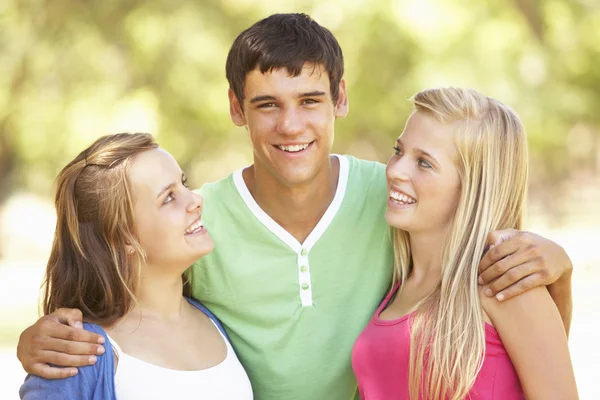 Group Of Friends Having Fun In Park Royalty Free Stock Images