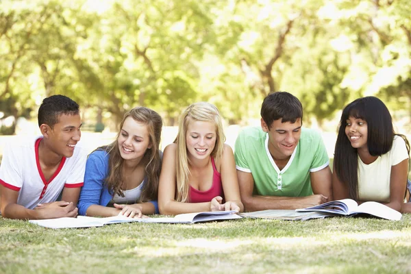 Teenage Friends Studying In Park Stock Picture