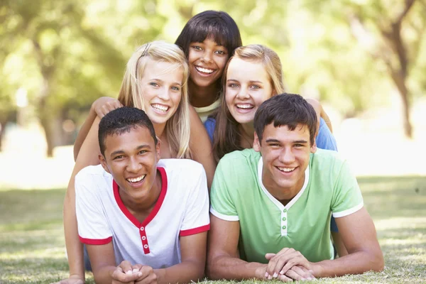 Group Of Friends Having Fun In Park Royalty Free Stock Images