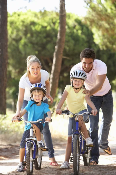Aile bisikletleri — Stok fotoğraf