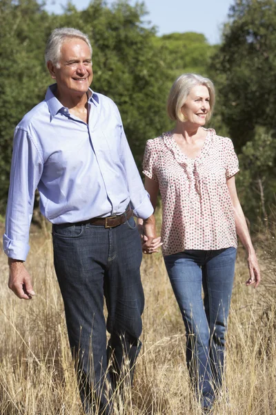 Couple âgé marchant à travers la campagne — Photo