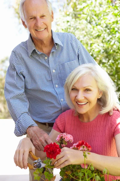 Mulher e pai no jardim — Fotografia de Stock