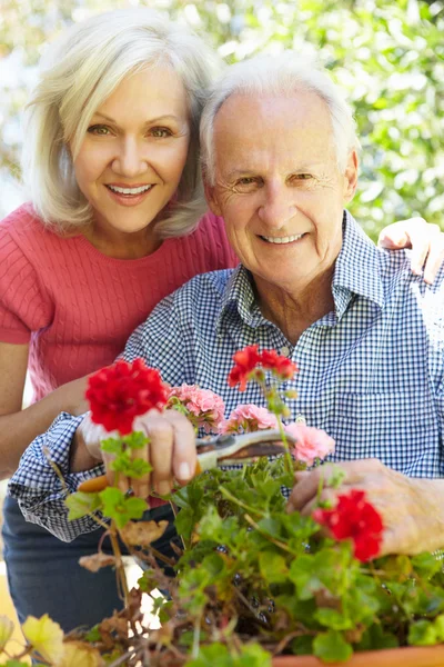 Mujer y padre en el jardín — Foto de Stock