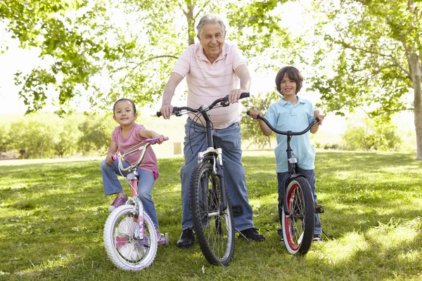 Bunic Cu Nepoții În Parc Calarind Biciclete — Fotografie, imagine de stoc