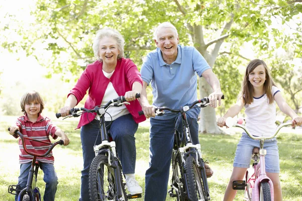 Couple sénior avec petits-enfants sur vélos — Photo