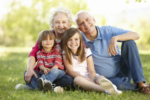 Senior couple and grandchildren in park — Stock Photo, Image