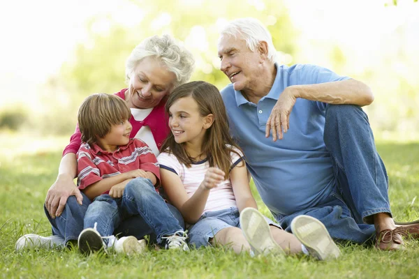 Seniorenpaar und Enkelkinder im Park — Stockfoto