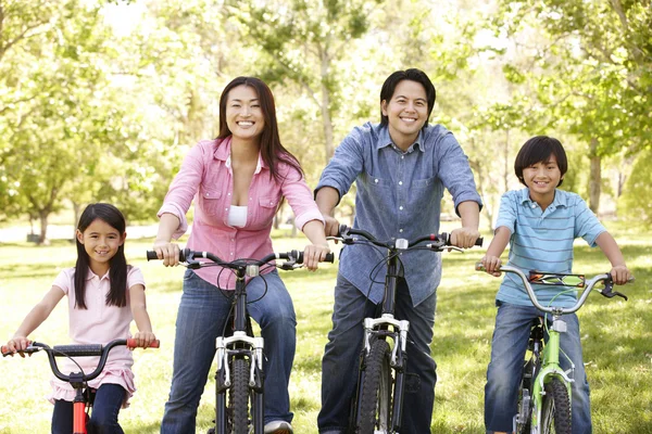 Vélo d'équitation en famille dans le parc — Photo