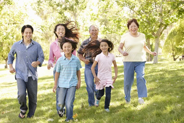 Familjen springer i parken — Stockfoto