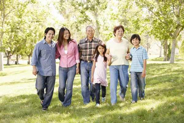 Multi generatie familie wandelen in het park — Stockfoto