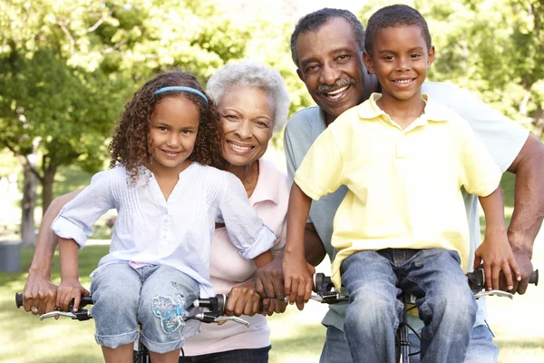 Grandparents With Grandchildren Cycling In Park — Stock Photo, Image