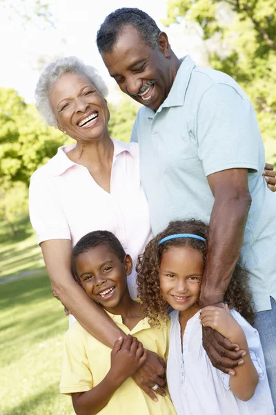 Grandparents With Grandchildren Walking In Park — Stock Photo, Image