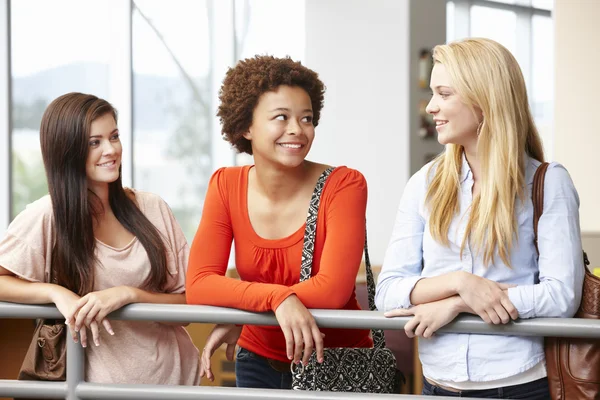 Teenage student girls chatting — Φωτογραφία Αρχείου