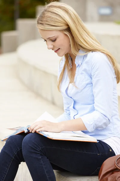 Teenage student reading outdoors — Stock fotografie