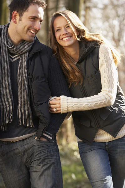 Pareja en paseo romántico en invierno —  Fotos de Stock