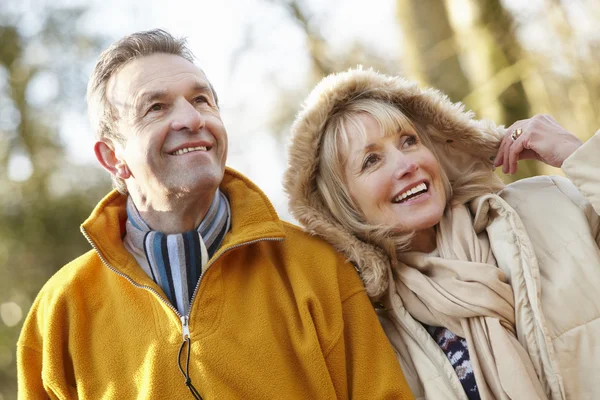 Feliz pareja de ancianos en invierno —  Fotos de Stock