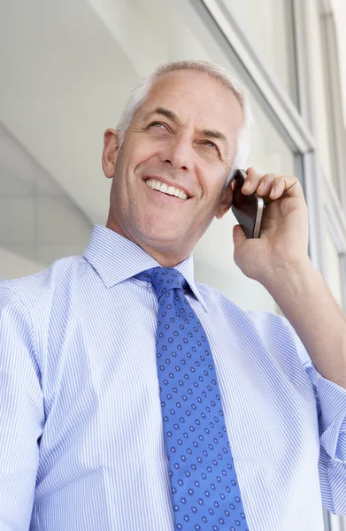 Homem de negócios maduro falando no telefone móvel — Fotografia de Stock