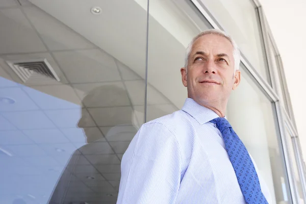 Mature Businessman in Modern Office — Stock Photo, Image