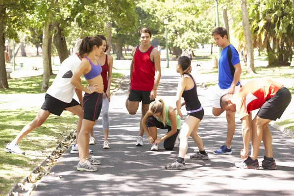 Група бігунів розігрівається в парку — стокове фото