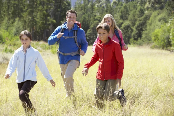 Famille en randonnée dans une belle campagne — Photo