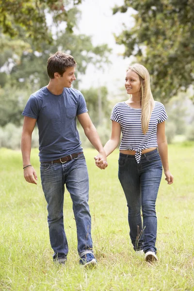 Casal romântico caminhando pelo campo — Fotografia de Stock