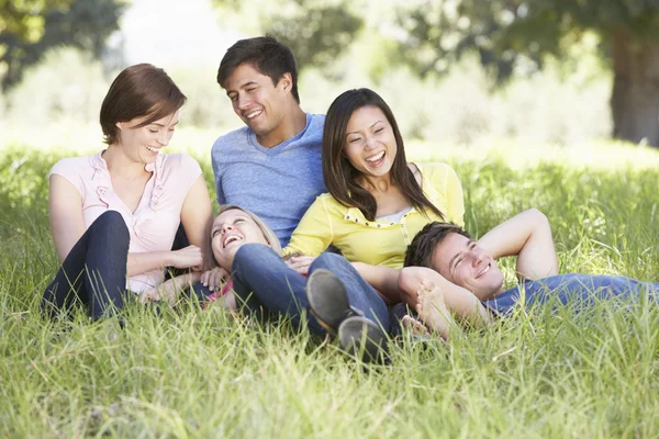 Grupo de amigos relajándose en el campo — Foto de Stock