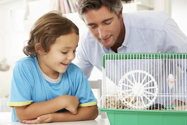 Father And Son Watching Pet Hamster — Stock Image Father And Son Watching Pet Hamster Royalty Free Stock Images
