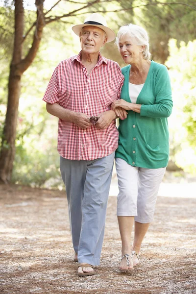 Senior koppel wandelen in het platteland — Stockfoto