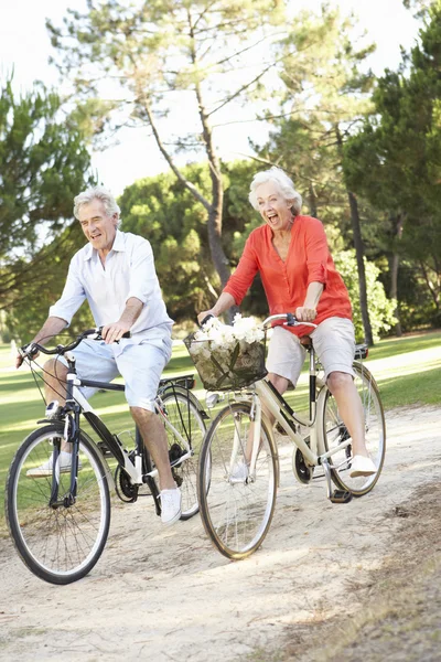 Coppia anziana godendo di giro in bicicletta — Foto Stock