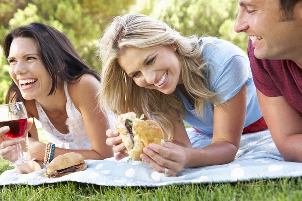 Grupp vänner njuter picknick — Stockfoto