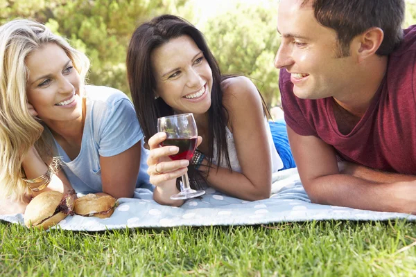 Grupp vänner njuter picknick — Stockfoto