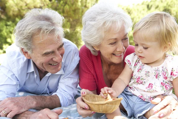 Far-och morföräldrar och barnbarn njuter picknick — Stockfoto