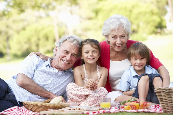 Far-och morföräldrar och barnbarn njuter picknick — Stockfoto