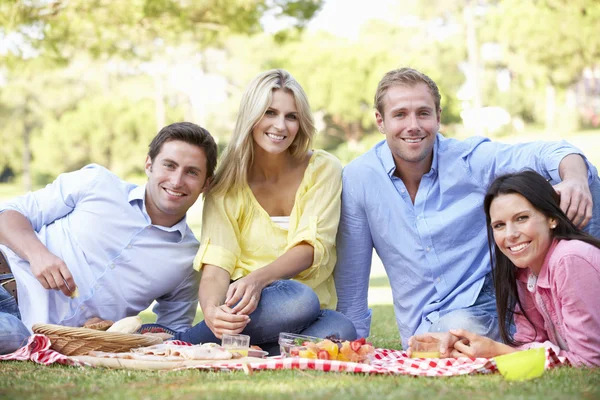 Grupa przyjaciół ciesząc się piknik — Zdjęcie stockowe