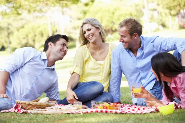 Grupo de amigos desfrutando de piquenique — Fotografia de Stock