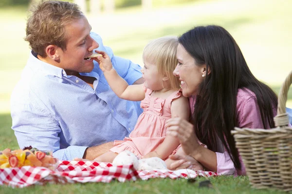 Rodina si užívá piknik — Stock fotografie