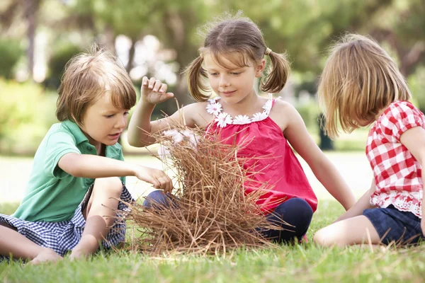 Children Building Camp Fire — Stock Photo, Image