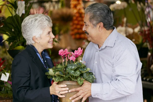 Hombre mayor compra planta para la esposa —  Fotos de Stock